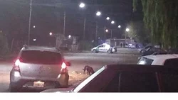 Crece la escala de violencia en los barrios de Viedma