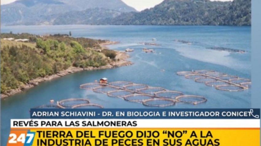 Prohibieron criaderos de salmón en Tierra del Fuego