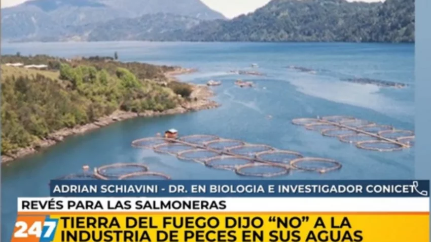 Prohibieron criaderos de salmón en Tierra del Fuego