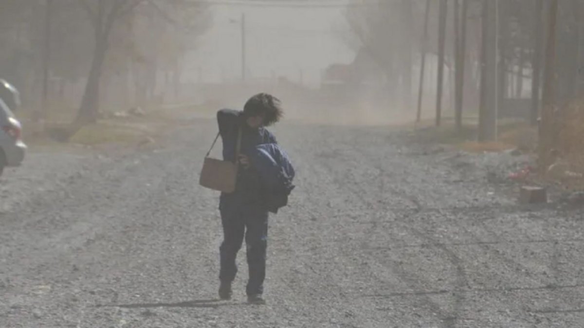 ¡Julio se las trae!: alerta por vientos para este finde