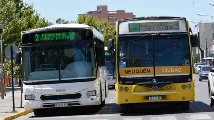 Pehuenche y KoKo retoman el servicio de colectivos