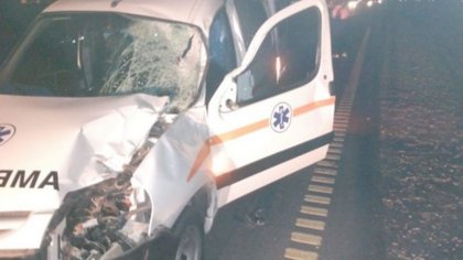 Una ambulancia chocó un caballo en la 22