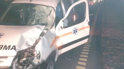 Una ambulancia chocó un caballo en la 22