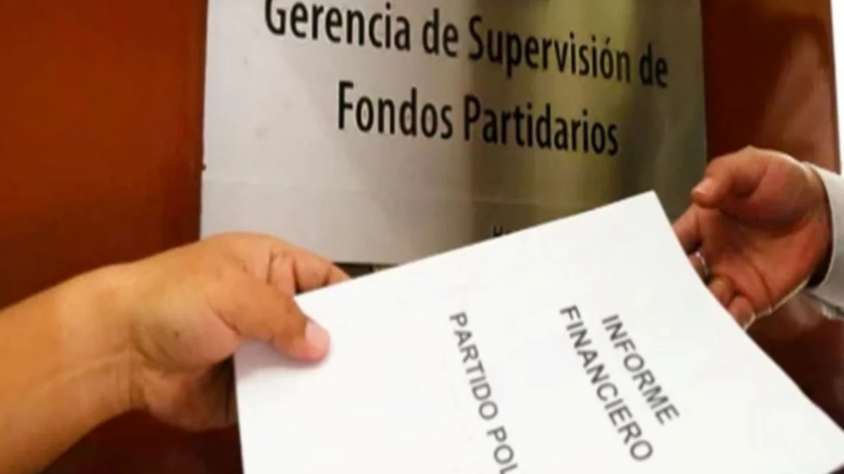 Sancionaron a partidos políticos rionegrinos
