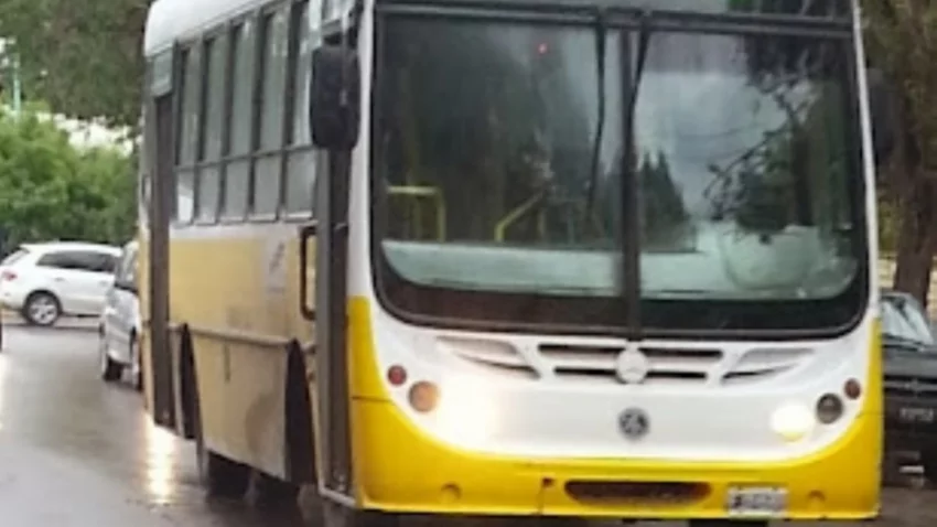 Cambio de recorrido de la línea 15 de Autobuses Neuquén