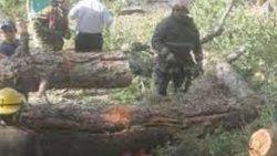 Anularon sobreseimientos por la muerte de dos niños