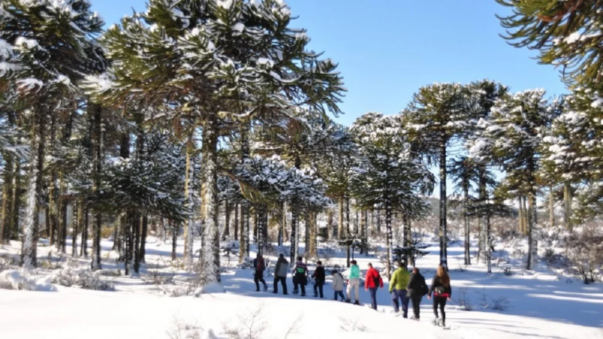 Los turistas buscaron la nieve y coparon Pehuenia