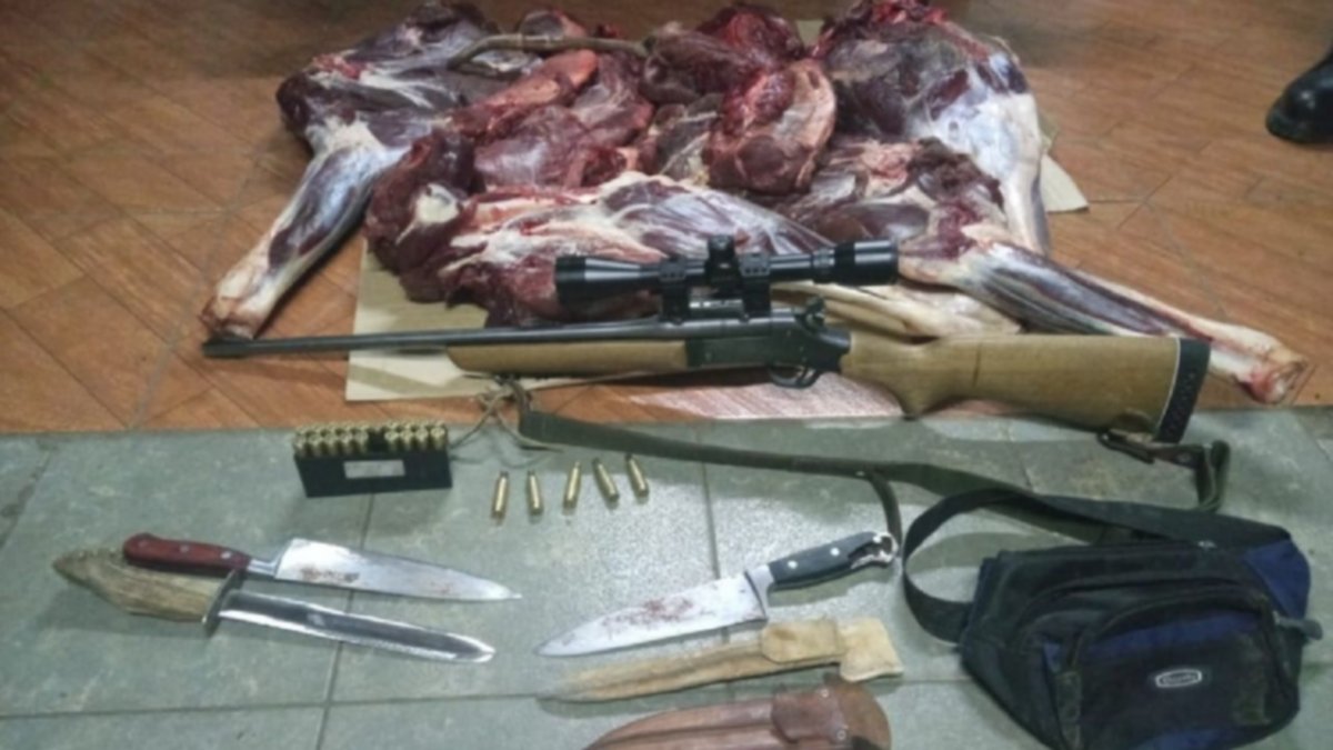 Cazaron un ciervo y pretendían engañar a la Policía
