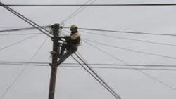 Robaron cables a la cooperativa telefónica de Centenario