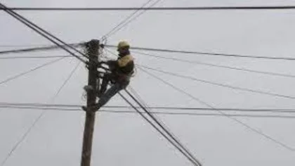 Robaron cables a la cooperativa telefónica de Centenario