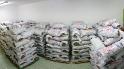Decomisaron 8 mil kilos de papas sin identificación