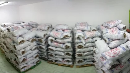 Decomisaron 8 mil kilos de papas sin identificación