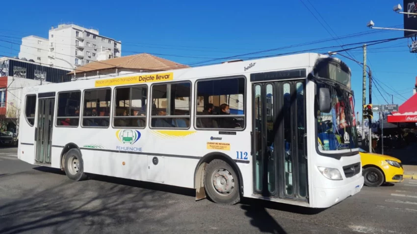Pehuenche cobró por las PASO (pero de 2019)