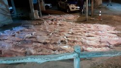 Iba por un camino rural con 90 costillares en el asiento