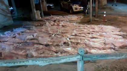 Iba por un camino rural con 90 costillares en el asiento