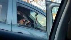 Video: una pelea de tránsito casi termina a los tiros