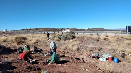 Descubrieron otro dino en el Chocón, al costado de la ruta