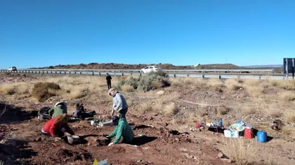 Descubrieron otro dino en el Chocón, al costado de la ruta