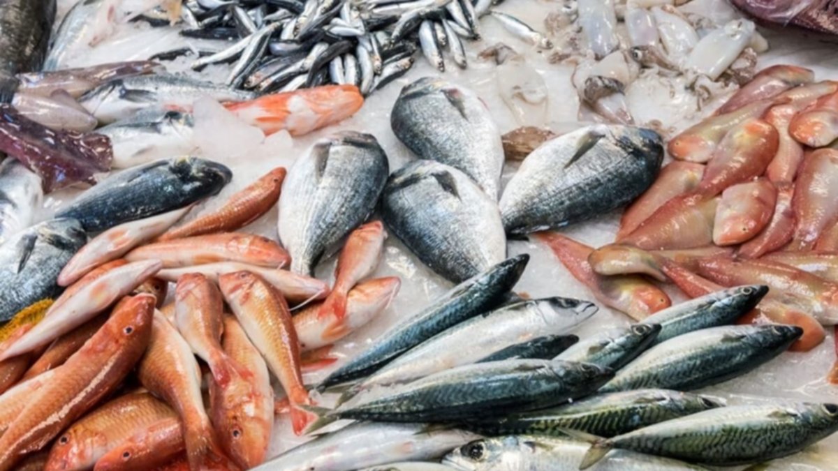Cooperativas realizan un “pescadazo” frente al Congreso