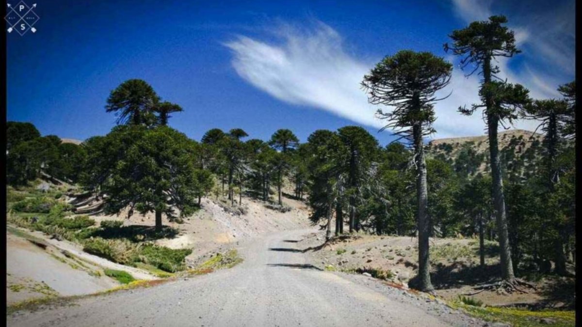Se demoró la habilitación de los pasos de Neuquén a Chile