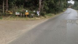Quiso escapar de la fiesta clandestina y arrolló a policía