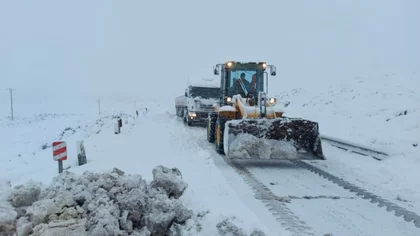 Ola polar: ¿qué rutas están intransitables en Neuquén?