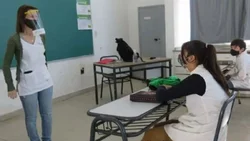 ¿Regresan las clases presenciales plenas en Neuquén?