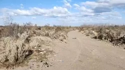 Un hombre llevaba a la rastra a su perro y lo mató
