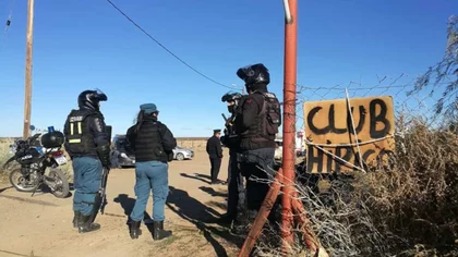 Tres vecinos deberán pagar $170 mil por maltratar galgos