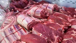 "Con el cepo a la carne se pierden u$s100 millones por mes"
