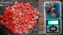 Cayó el marplatense que enviaba drogas sintéticas a Neuquén