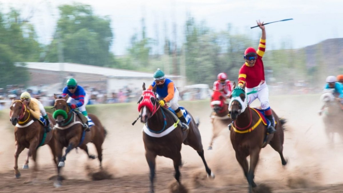 Encontraron al caballo... enterrado tras una carrera