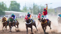 Encontraron al caballo... enterrado tras una carrera