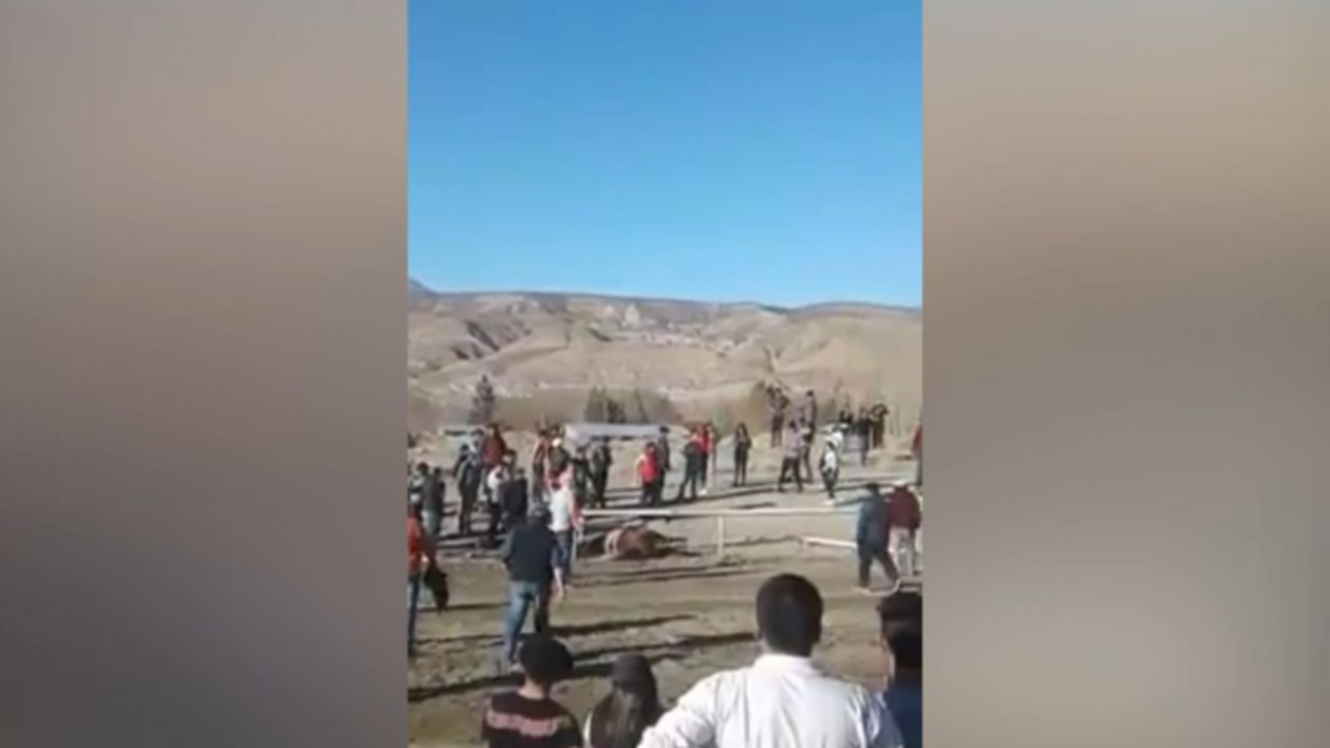 Pacto de silencio por el uso de drogas en carreras de caballos