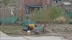 Escracharon a un hombre mientras golpeaba a su perro