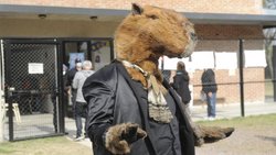 En Nordelta ¡votó un carpincho!