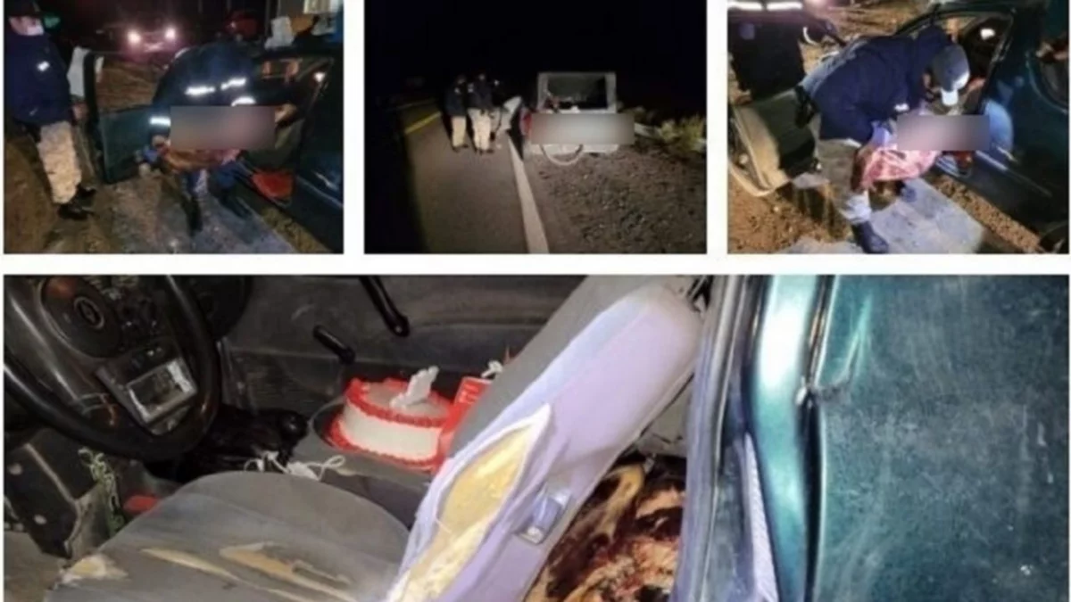 Secuestraron 50 kilos de carne faenada en Junín