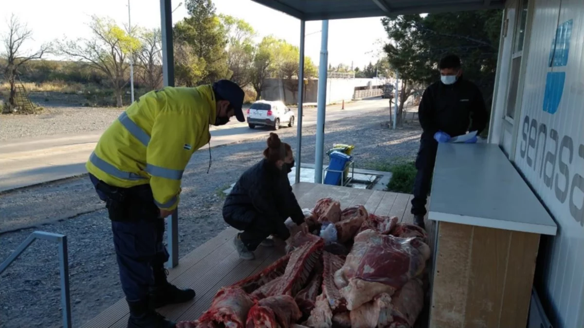 Quiso huir con 400 kilos de carne y fue atrapado