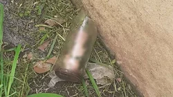 Encontró un pene en un frasco cuando cortaba el pasto
