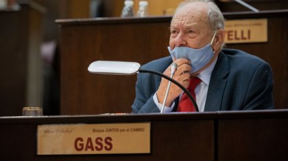 Gass apuntó a una "falla de origen" del Gobierno