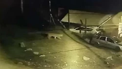 Si te encontrás con el puma de Bariloche, ¡no corras!
