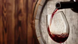 Su abuelo hacía vino para la familia, él soñó con el sello propio y su bodega brilla en Neuquén