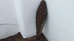 Hacía pozos en patio para poner plantitas y encontró un misil