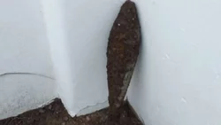 Hacía pozos en patio para poner plantitas y encontró un misil