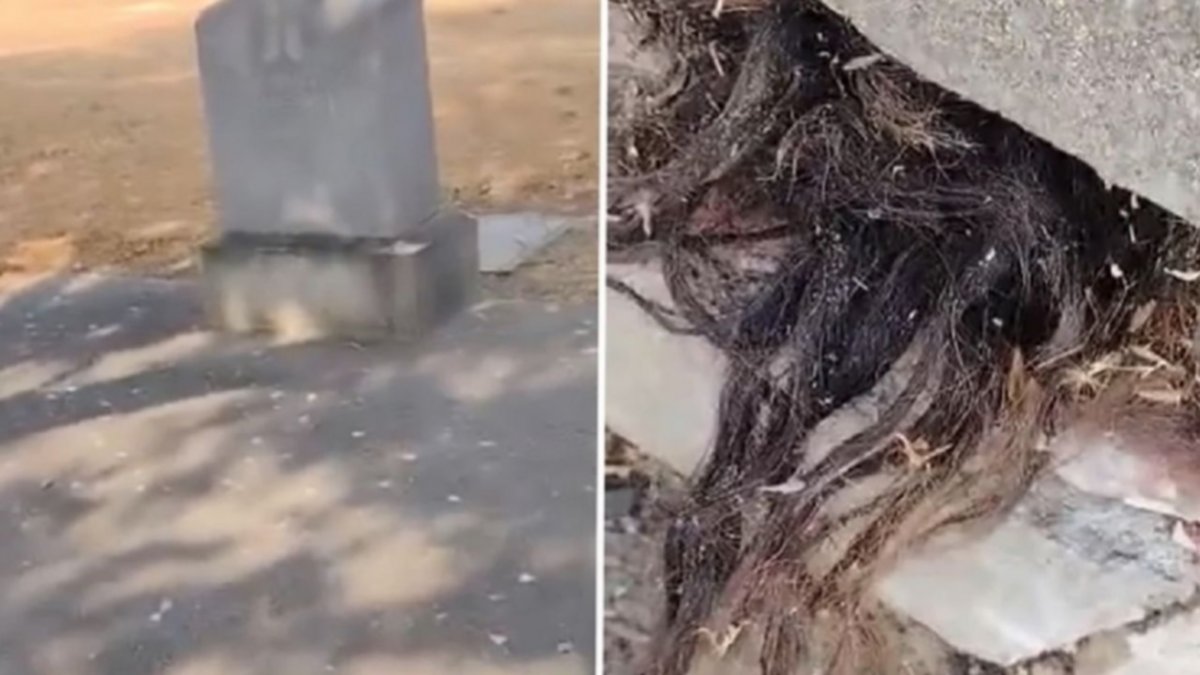 Video: encontró cabellos saliendo de una tumba