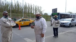 Apicultores de Río Negro rechazaron el cobro de un arancel