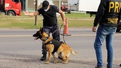 Narcos llevaban cocaína, los detuvieron, pero se escaparon