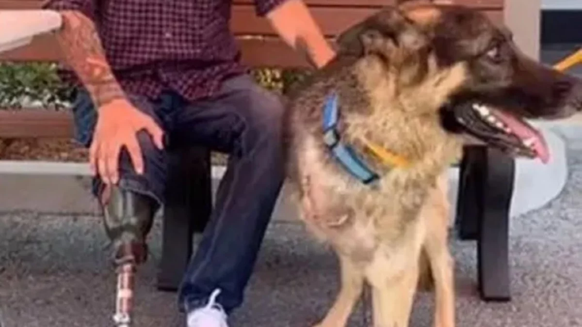 Un perro con tres patitas fue adoptado por un hombre amputado