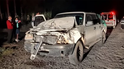 Viajaban a Centenario y chocaron con un caballo