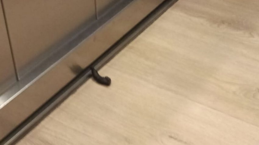 Edificio neuquino: Dejaron una "sorpresita" en el ascensor